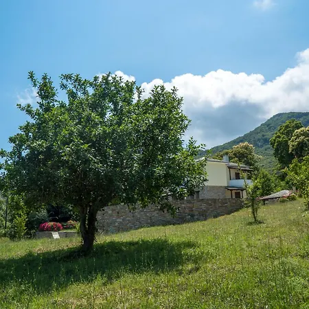 Maria Amalia Villa *