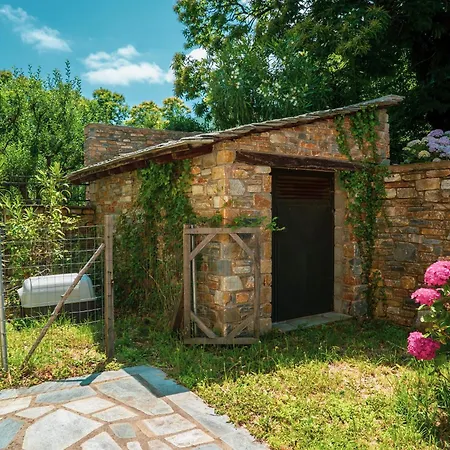 Villa Maria Amalia Tsagarada